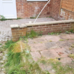 aftergarden2